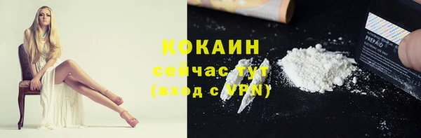 стафф Михайлов