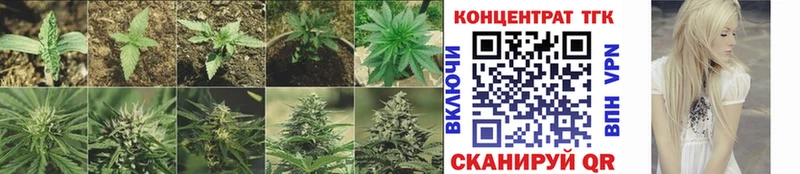 Купить где  Слюдянка  Дистиллят ТГК вейп 